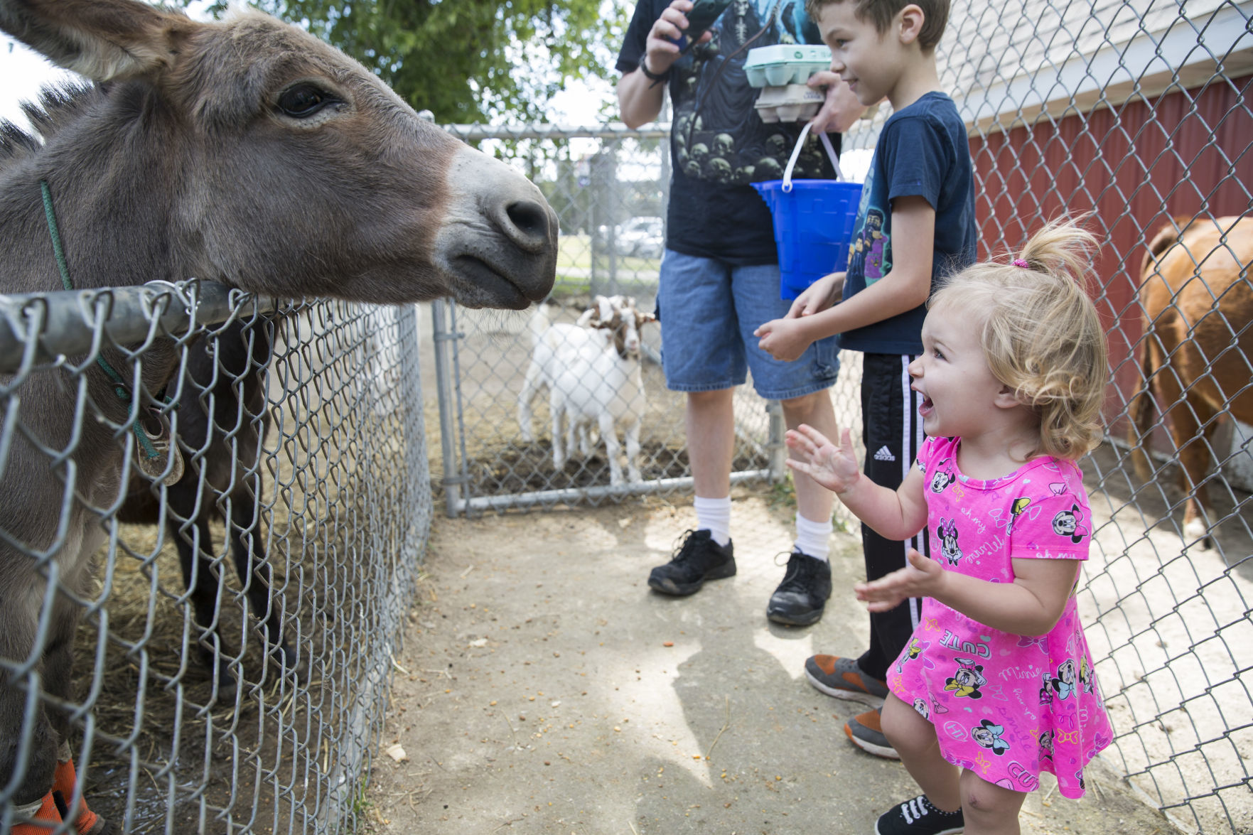 SUNRISE PETTING ZOO MARKS ANNIVERSARY